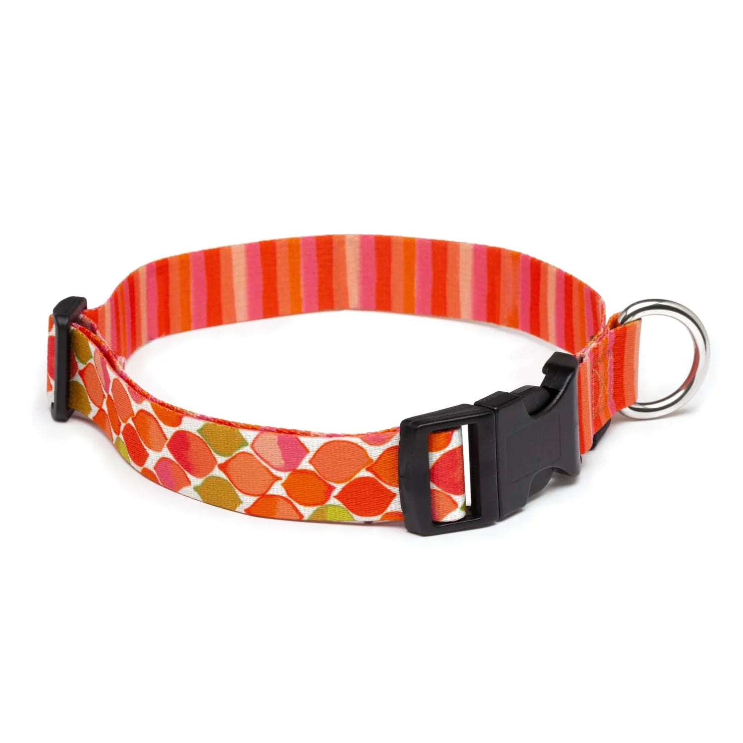 Dog Collars